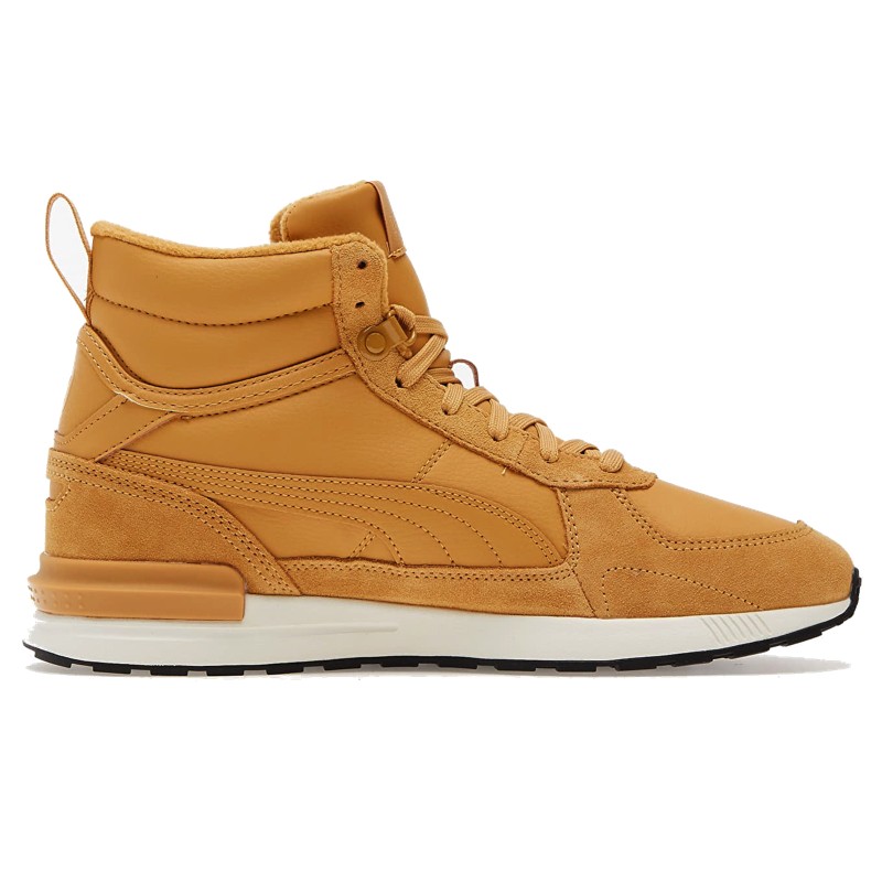 Puma barbat