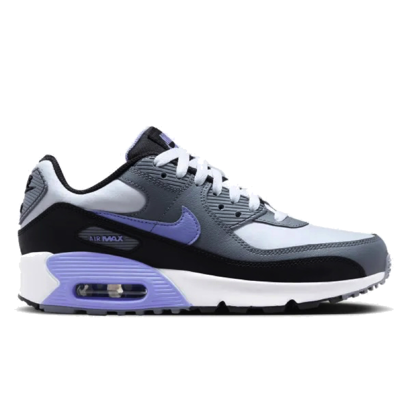 Pantofi Sport Nike Air Max 90 leather gs