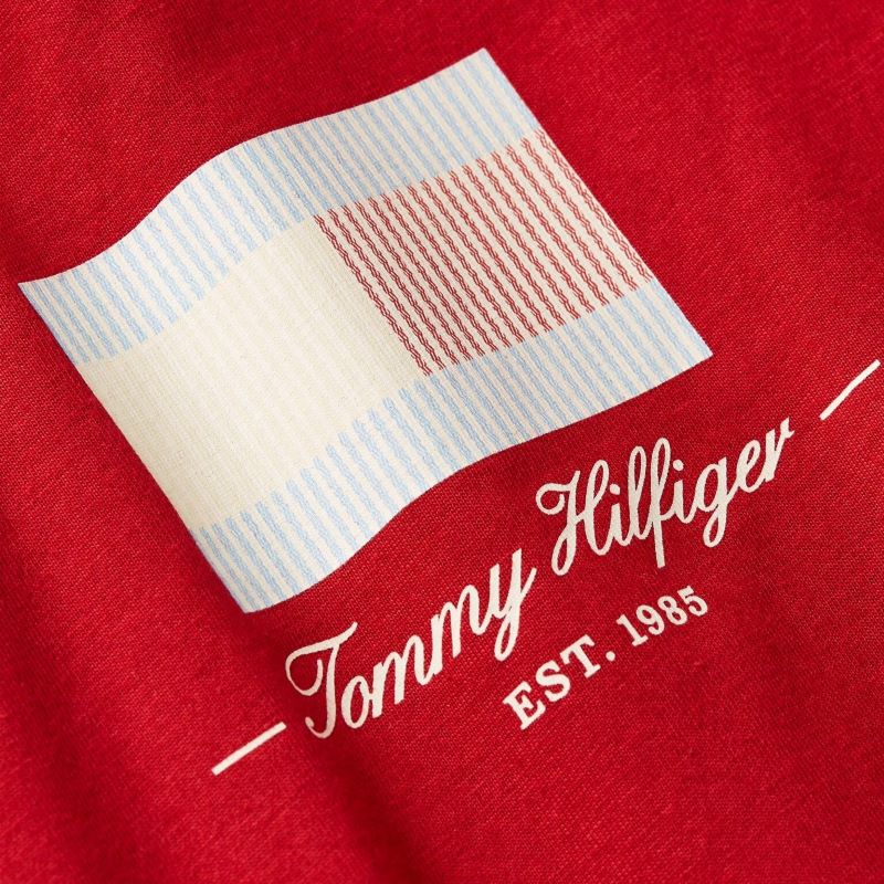 Tricou Tommy Hilfiger ITHACA FLAG TEE - 2 | YEO