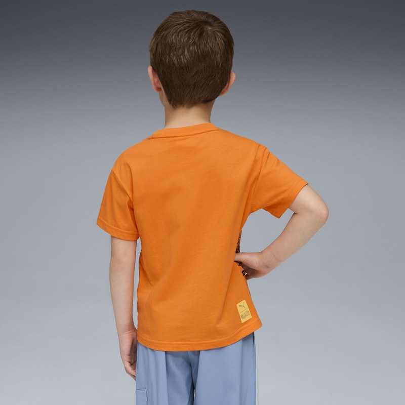 Aceasta este imaginea corespunzatoare acestui obiect