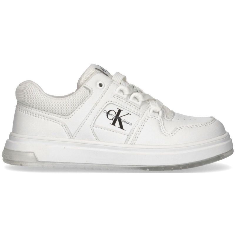 Latte Pantofi Sport Calvin Klein Low CUT Lace UP SNEAKER - various